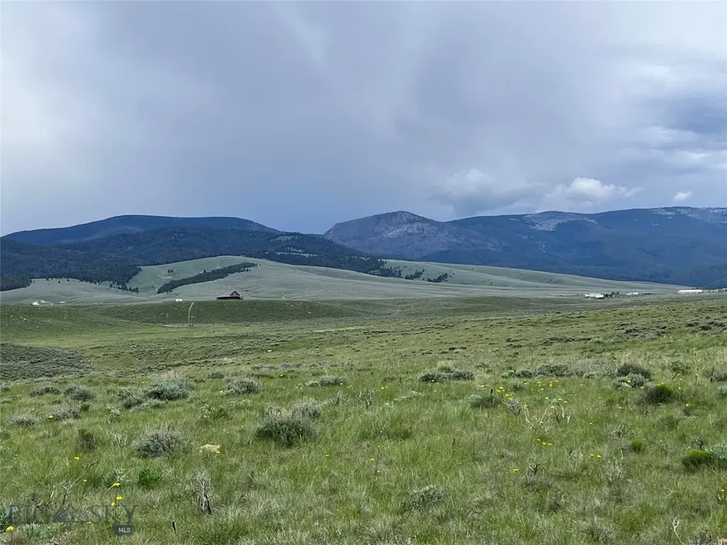 Tract 22 Steel Creek Road Wisdom MT 59761