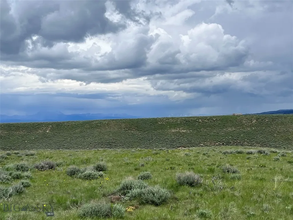 Tract 22 Steel Creek Road Wisdom MT 59761