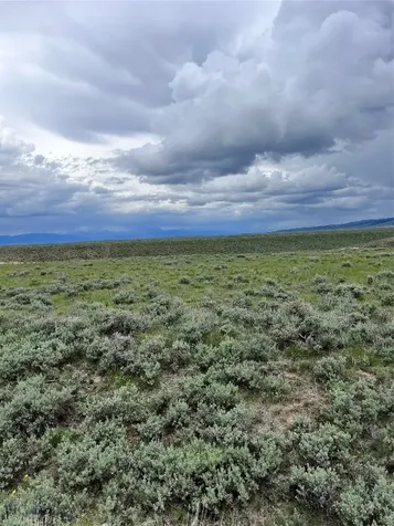 Tract 22 Steel Creek Road Wisdom MT 59761