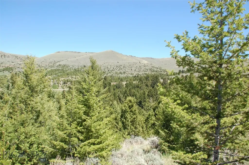 Block 261 Virginia City Original Townsite Virginia City MT 59755