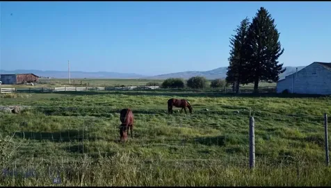 750 & 775 Medicine Lodge Road Dillon MT 59725