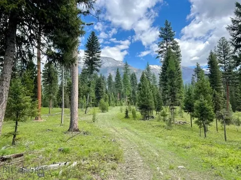 Nhn Condon Loop Condon MT 59826