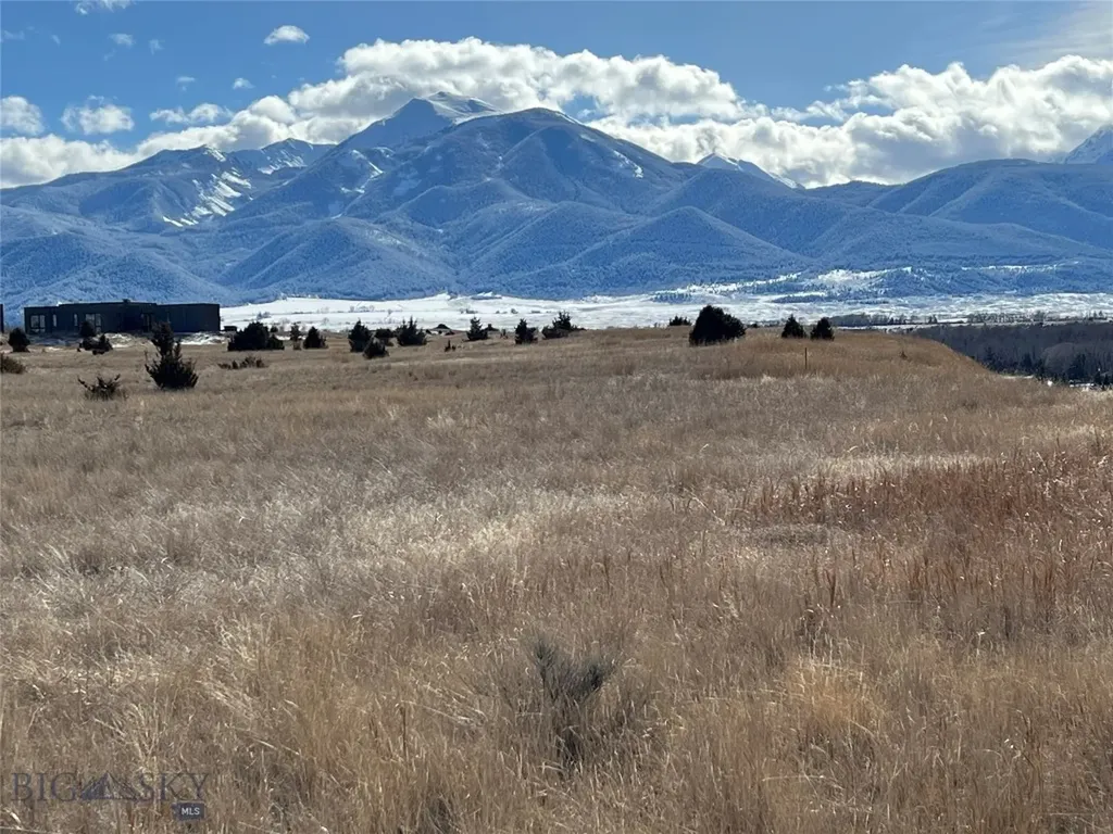 11 Majestic Ridge Livingston MT 59047