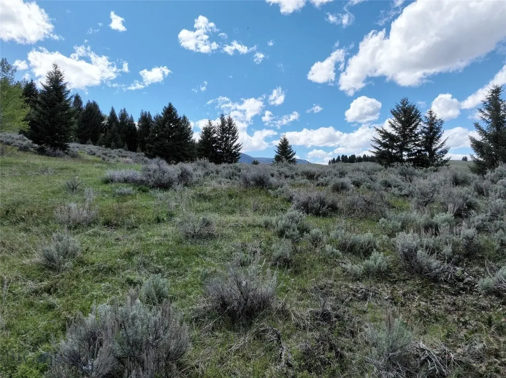 Lot 46a-1 Sun West Ranch Cameron MT 59720