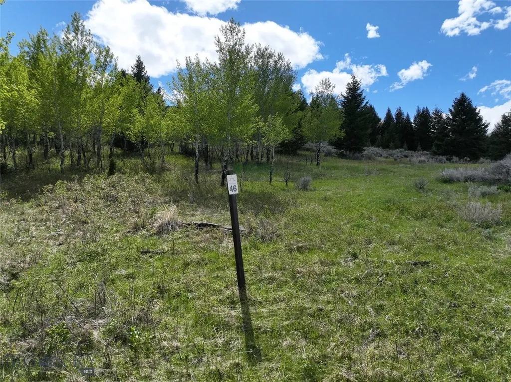 Lot 46a-1 Sun West Ranch Cameron MT 59720