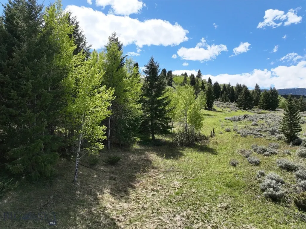 Lot 46a-1 Sun West Ranch Cameron MT 59720
