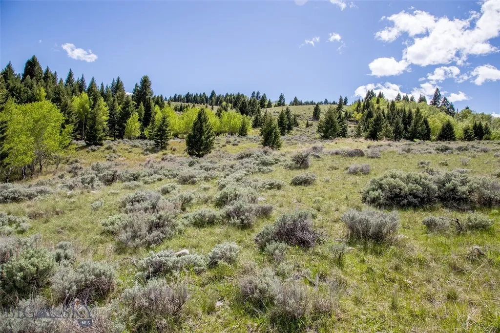 Lot 46a-1 Sun West Ranch Cameron MT 59720