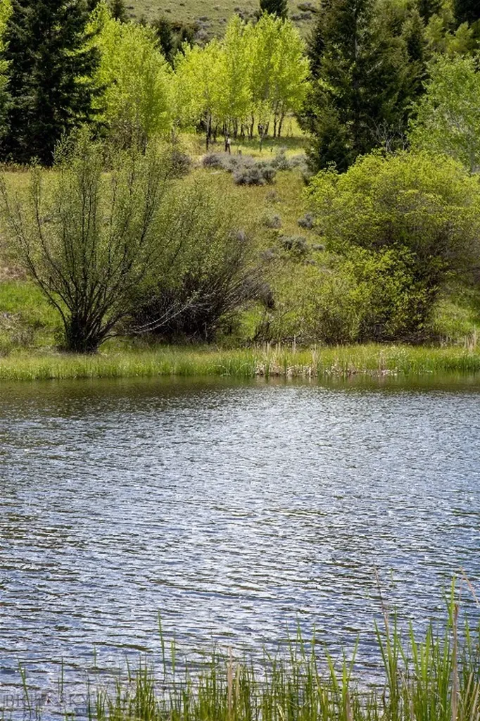 Lot 46a-1 Sun West Ranch Cameron MT 59720
