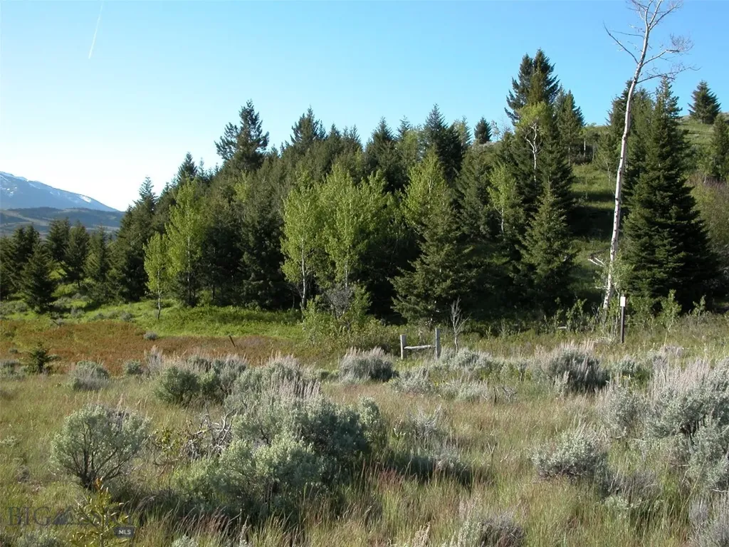 Lot 46a-1 Sun West Ranch Cameron MT 59720