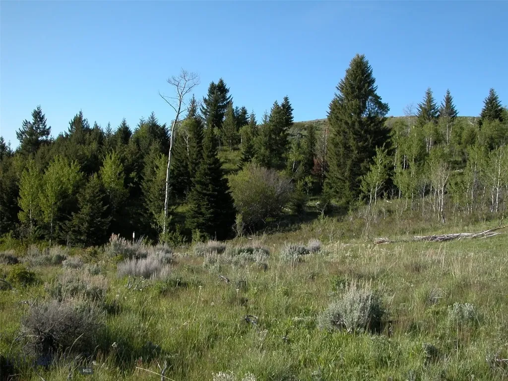 Lot 46a-1 Sun West Ranch Cameron MT 59720