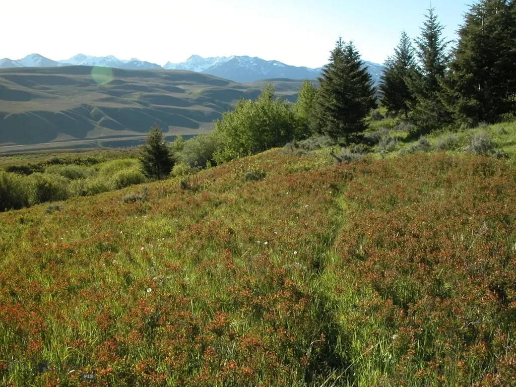 Lot 46a-1 Sun West Ranch Cameron MT 59720
