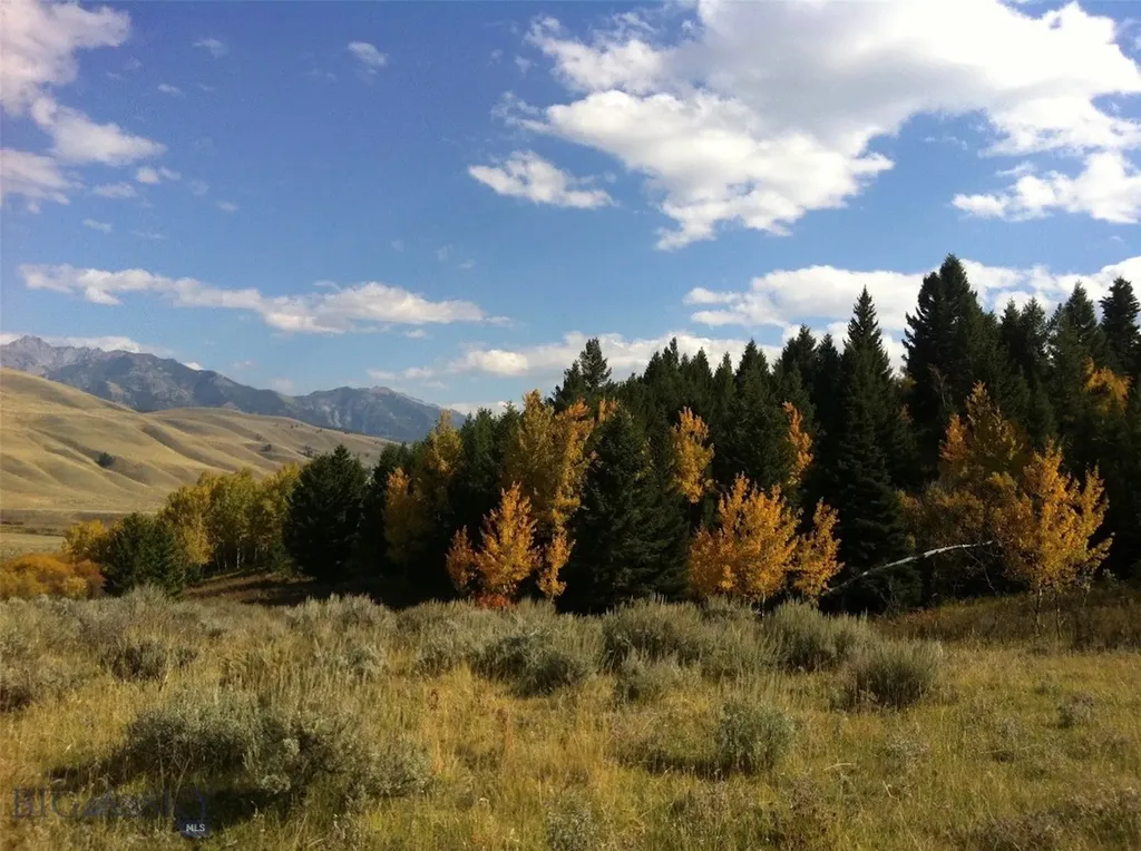 Lot 46a-1 Sun West Ranch Cameron MT 59720
