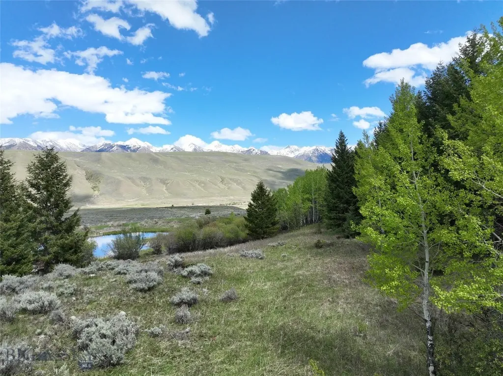 Lot 46a-1 Sun West Ranch Cameron MT 59720