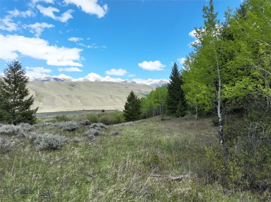 Lot 46a-1 Sun West Ranch Cameron MT 59720