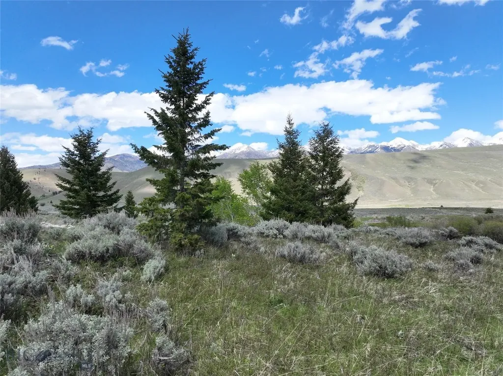 Lot 46a-1 Sun West Ranch Cameron MT 59720