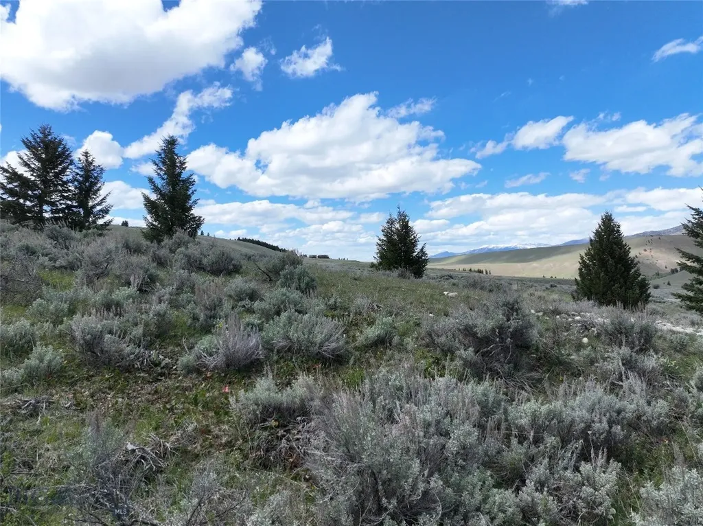 Lot 46a-1 Sun West Ranch Cameron MT 59720