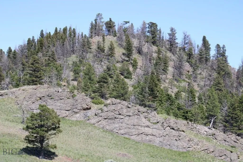 Cascade MT 59421