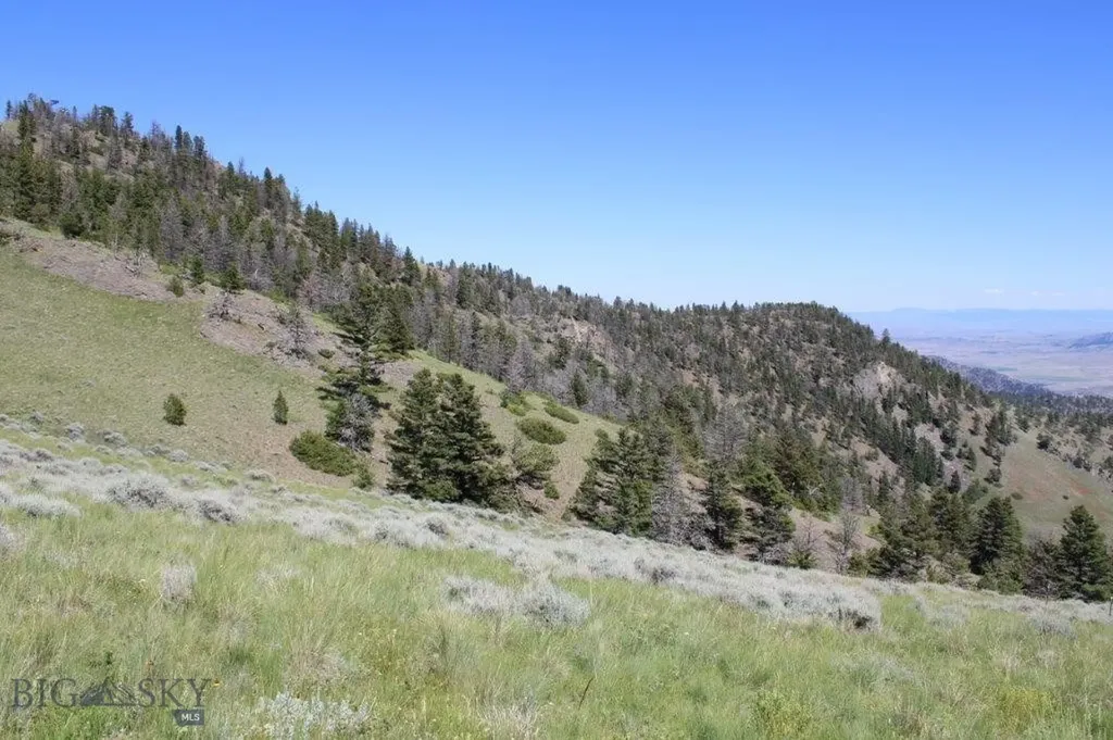 Cascade MT 59421