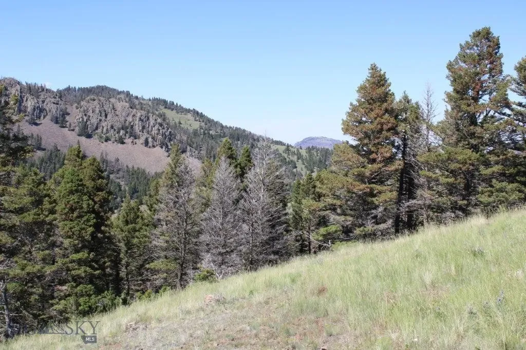 Cascade MT 59421