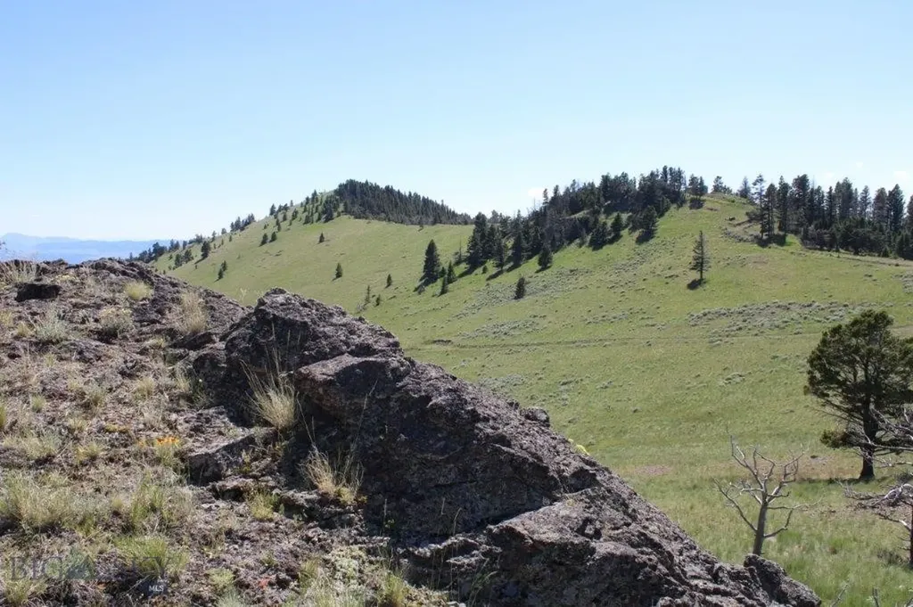 Cascade MT 59421