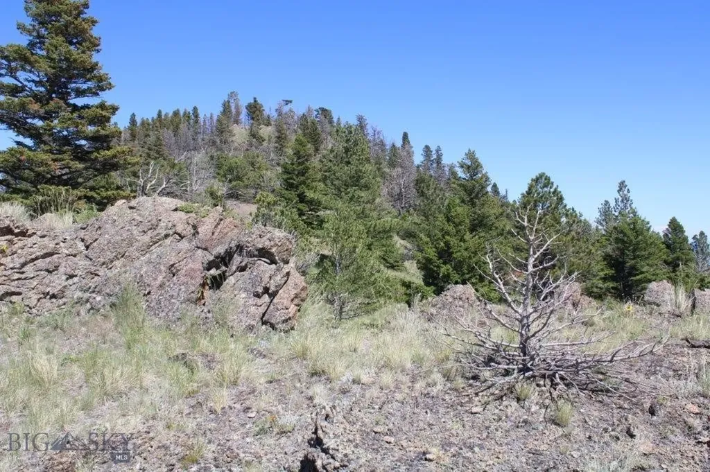 Cascade MT 59421