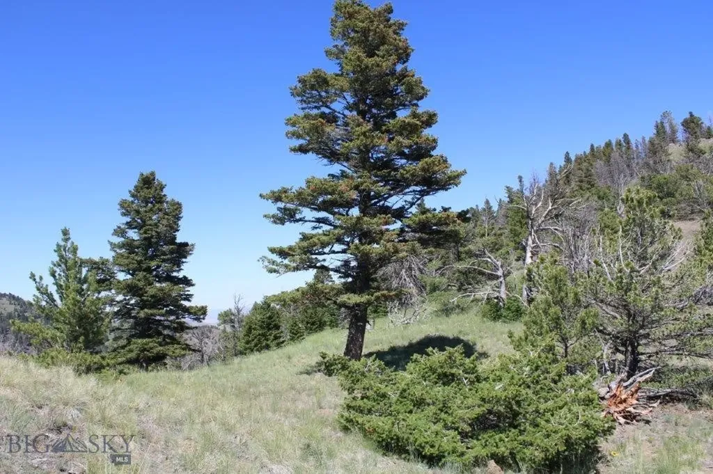 Cascade MT 59421