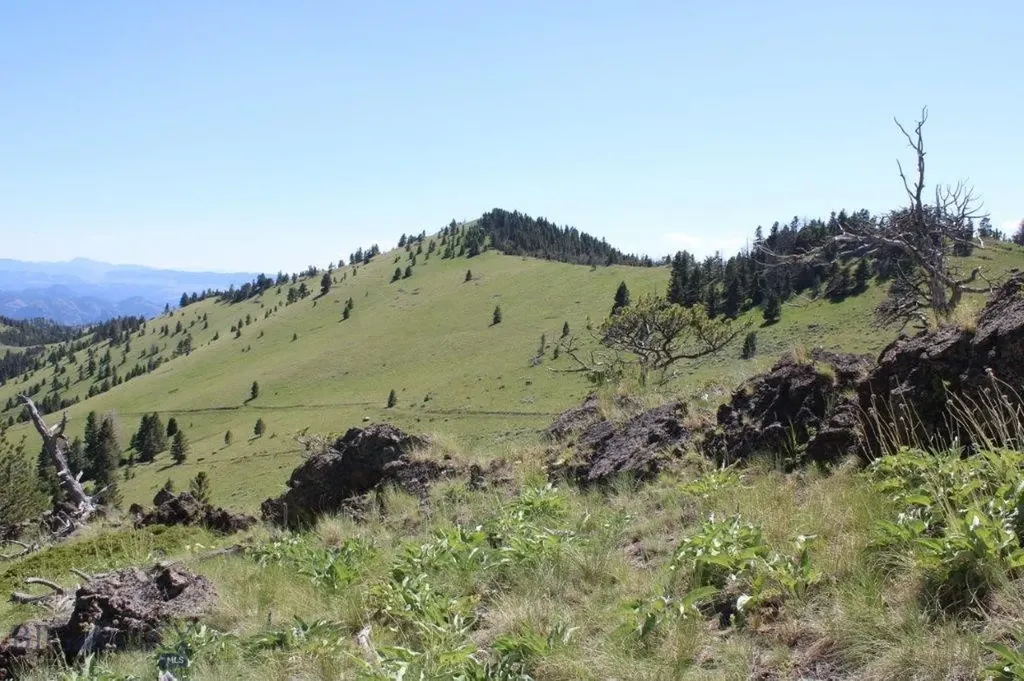 Cascade MT 59421