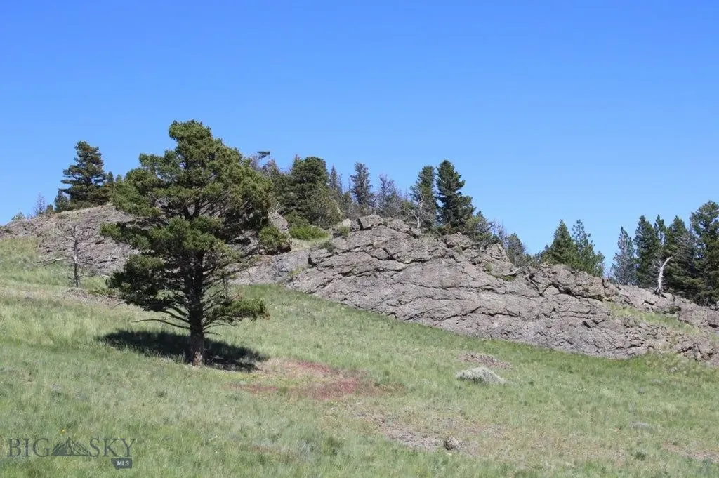 Cascade MT 59421
