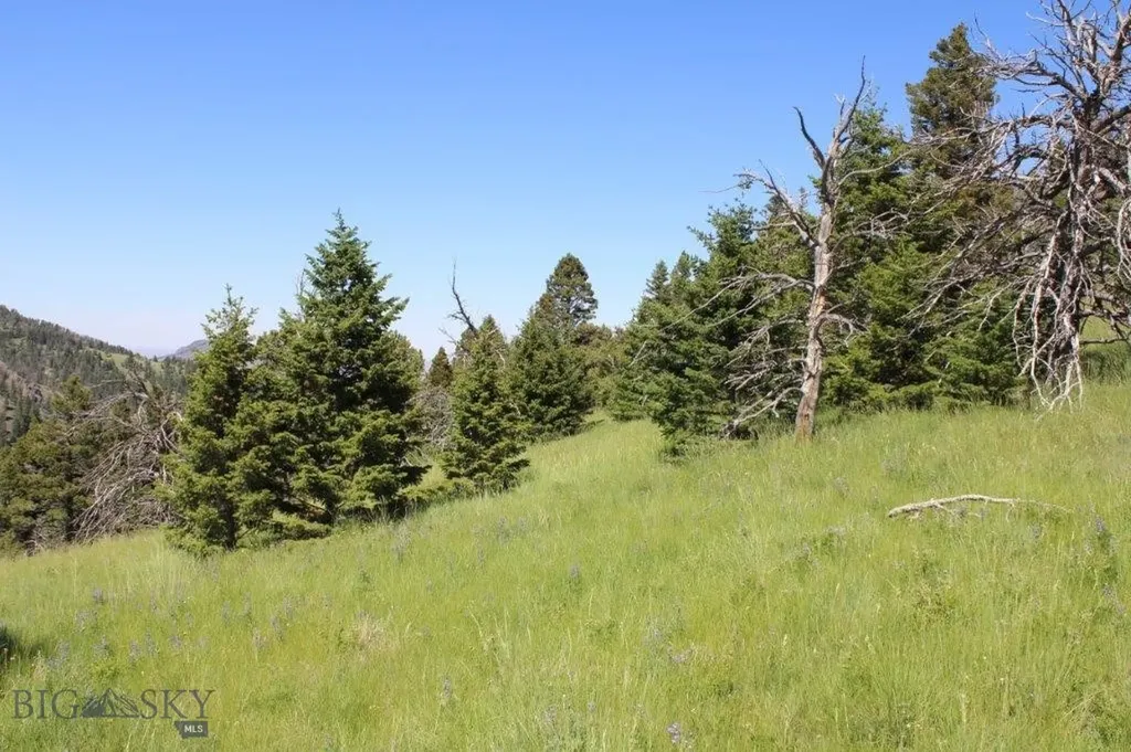 Cascade MT 59421