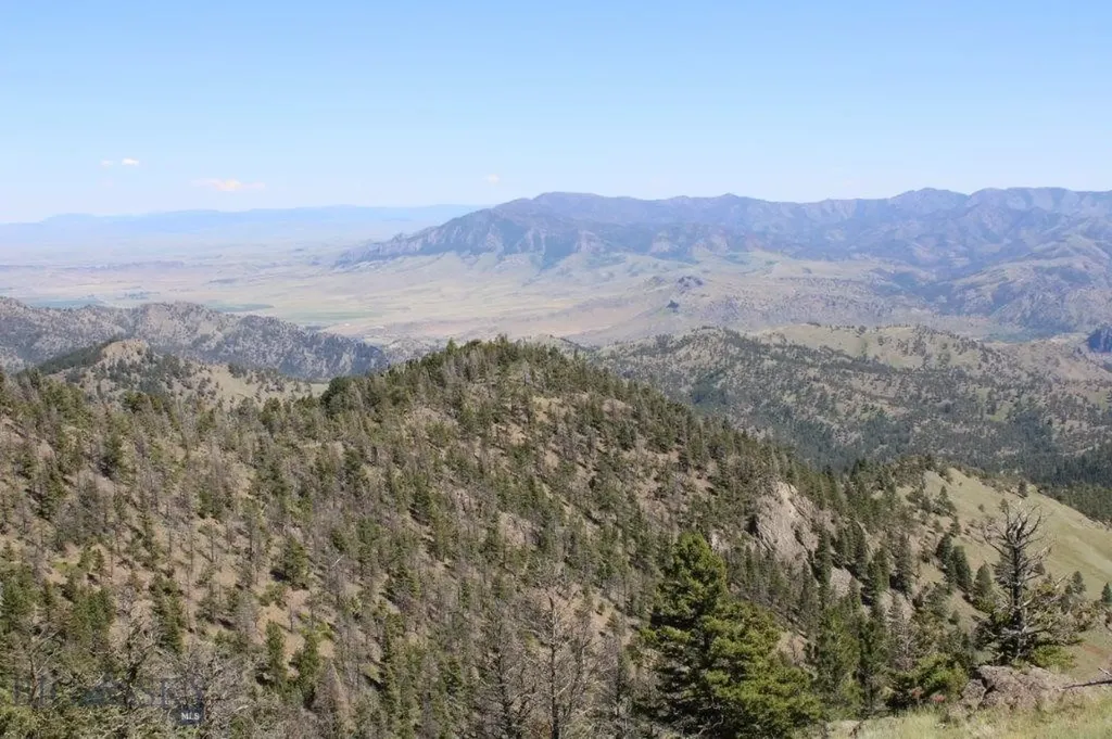 Cascade MT 59421