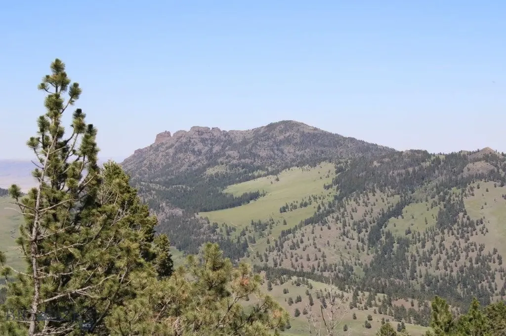 Cascade MT 59421
