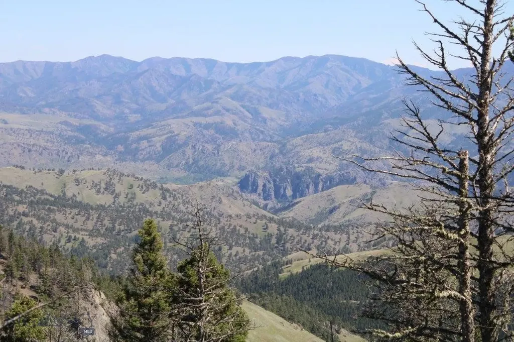 Cascade MT 59421