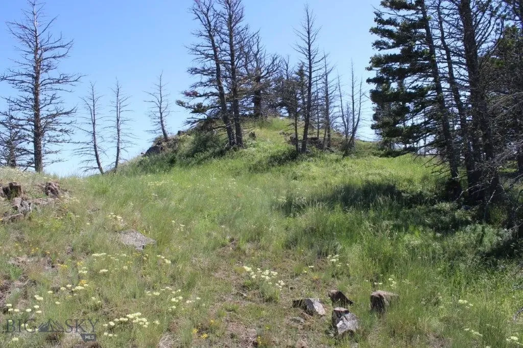 Cascade MT 59421