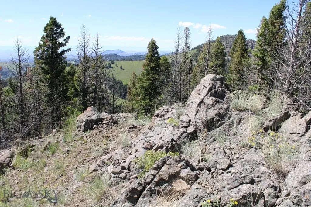 Cascade MT 59421