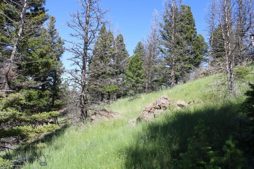 Cascade MT 59421