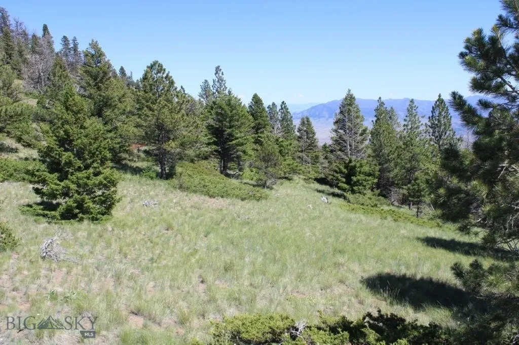 Cascade MT 59421