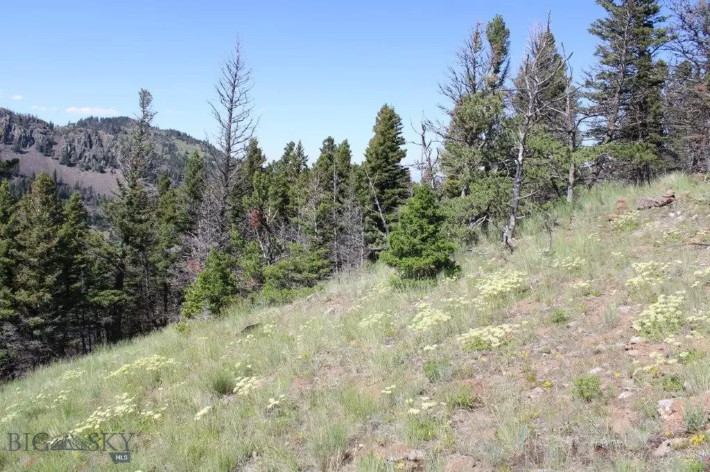 Cascade MT 59421