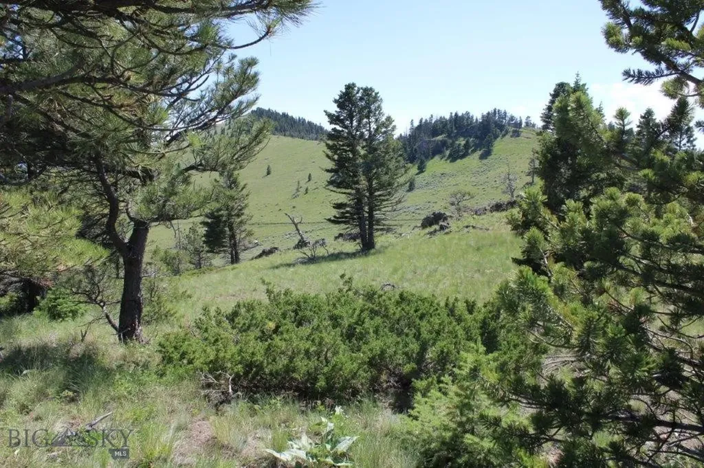Cascade MT 59421