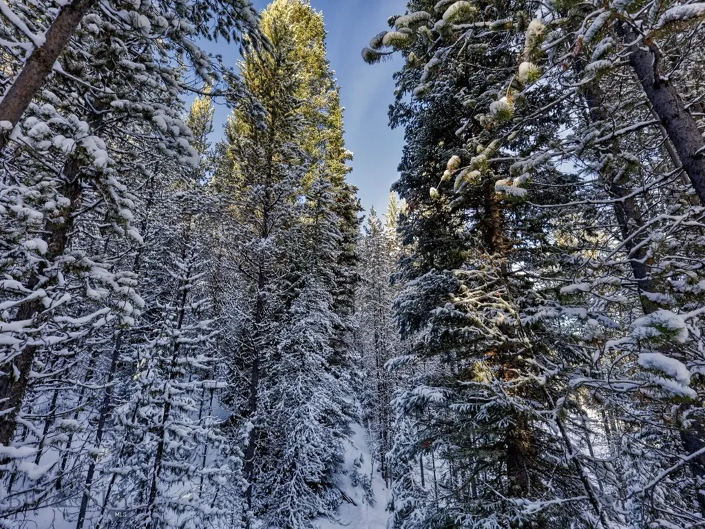 Tbd Silverado Trail Big Sky MT 59716