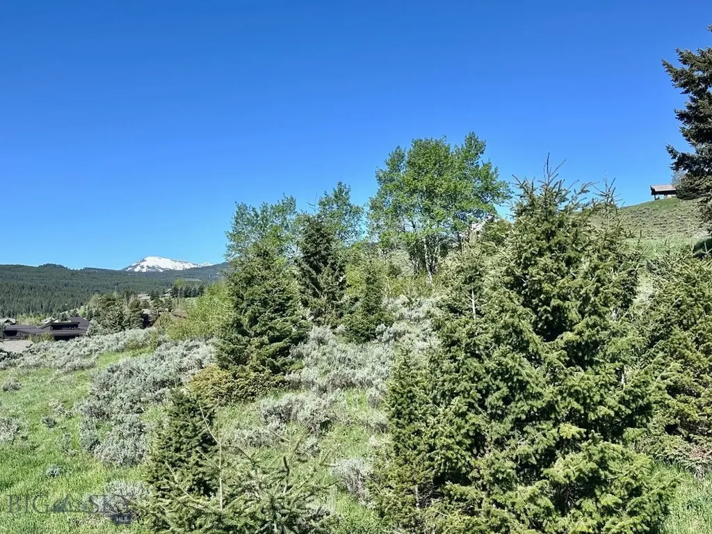 71 Sheffield Road Big Sky MT 59716