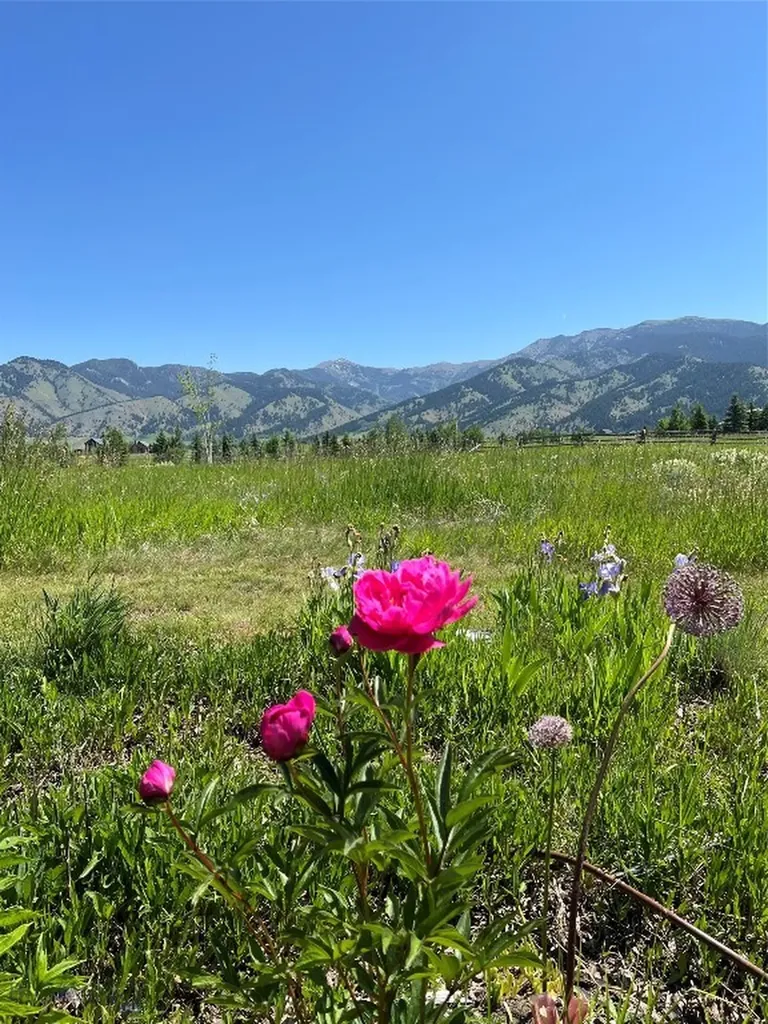 618 Autumn Ridge Road Bozeman MT 59715
