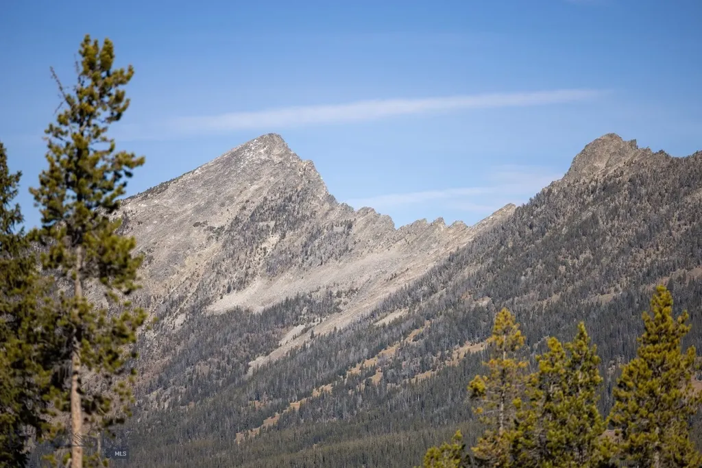 4 Diversion Lane Big Sky MT 59716