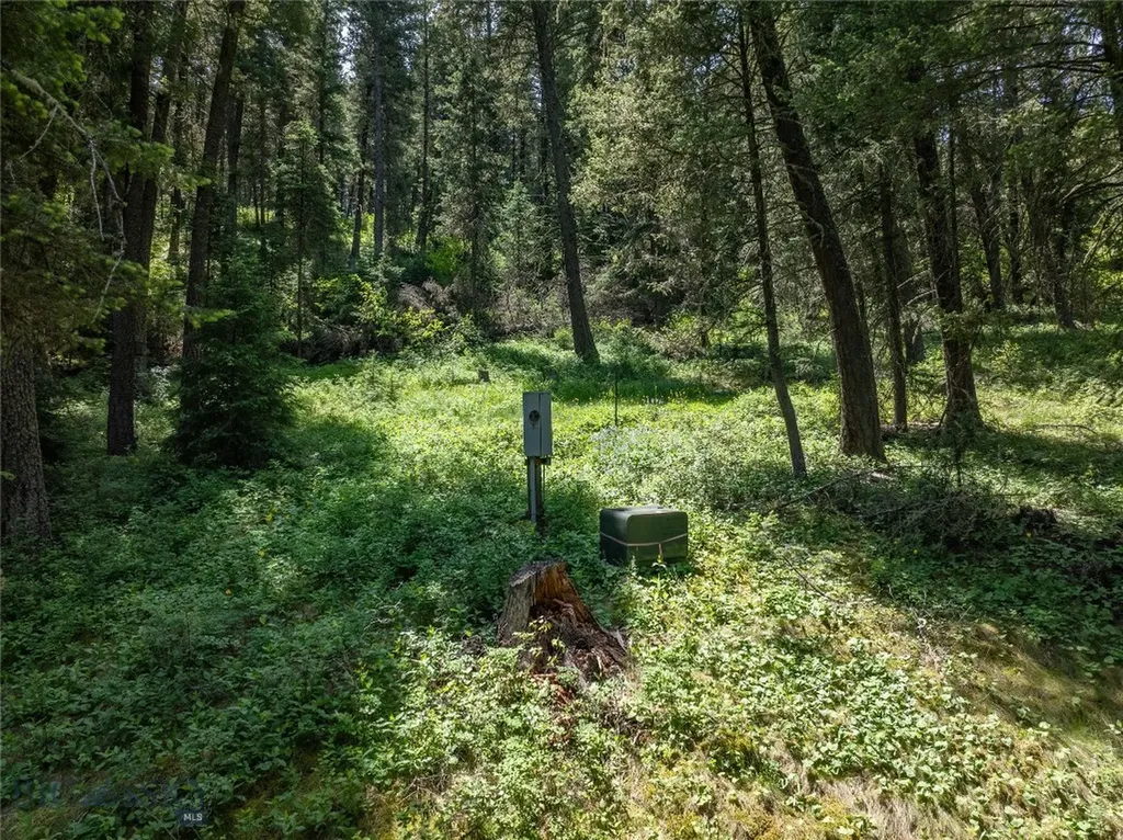 Tbd Gallatin Road Gallatin Gateway MT 59730