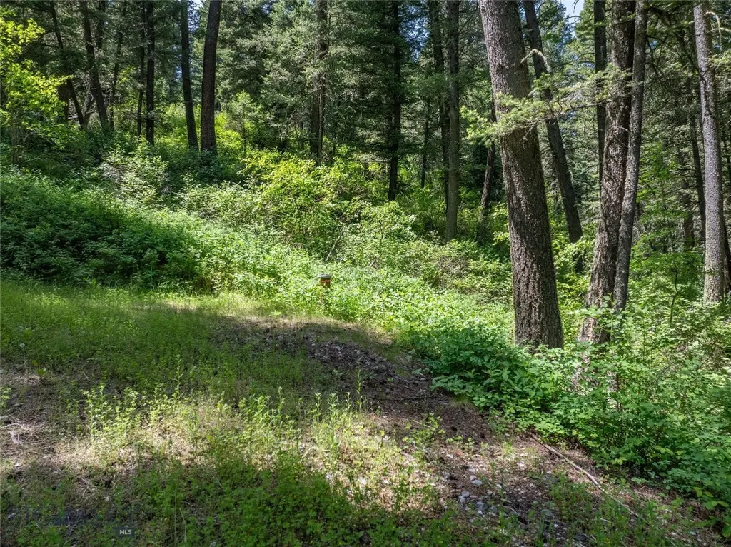 Tbd Gallatin Road Gallatin Gateway MT 59730