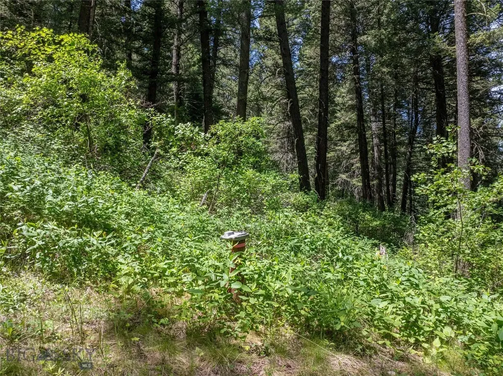 Tbd Gallatin Road Gallatin Gateway MT 59730