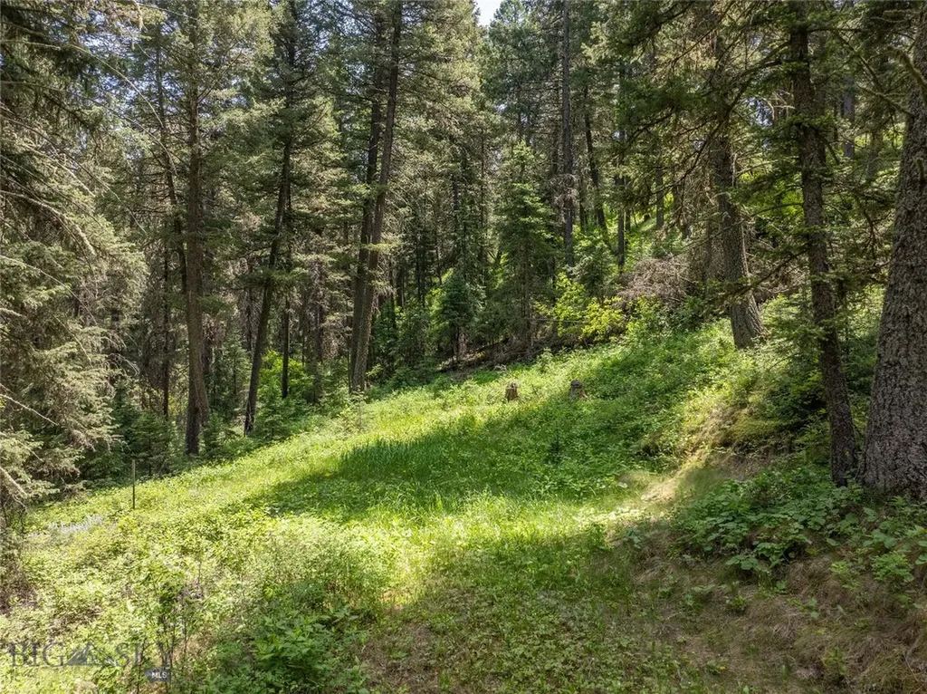 Tbd Gallatin Road Gallatin Gateway MT 59730