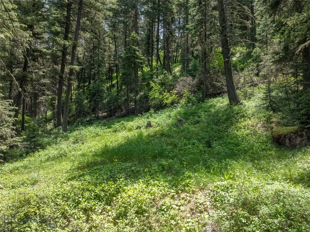 Tbd Gallatin Road Gallatin Gateway MT 59730