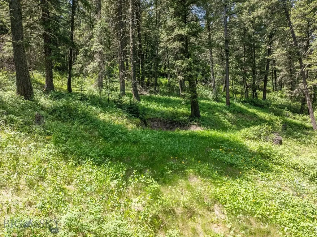Tbd Gallatin Road Gallatin Gateway MT 59730