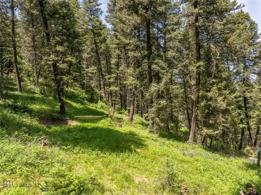 Tbd Gallatin Road Gallatin Gateway MT 59730
