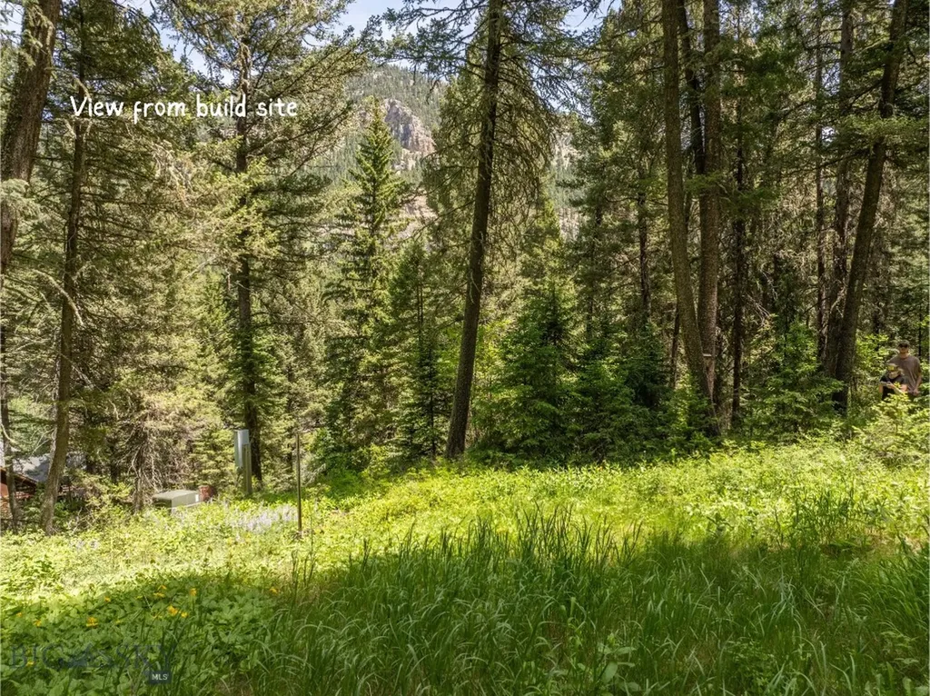 Tbd Gallatin Road Gallatin Gateway MT 59730